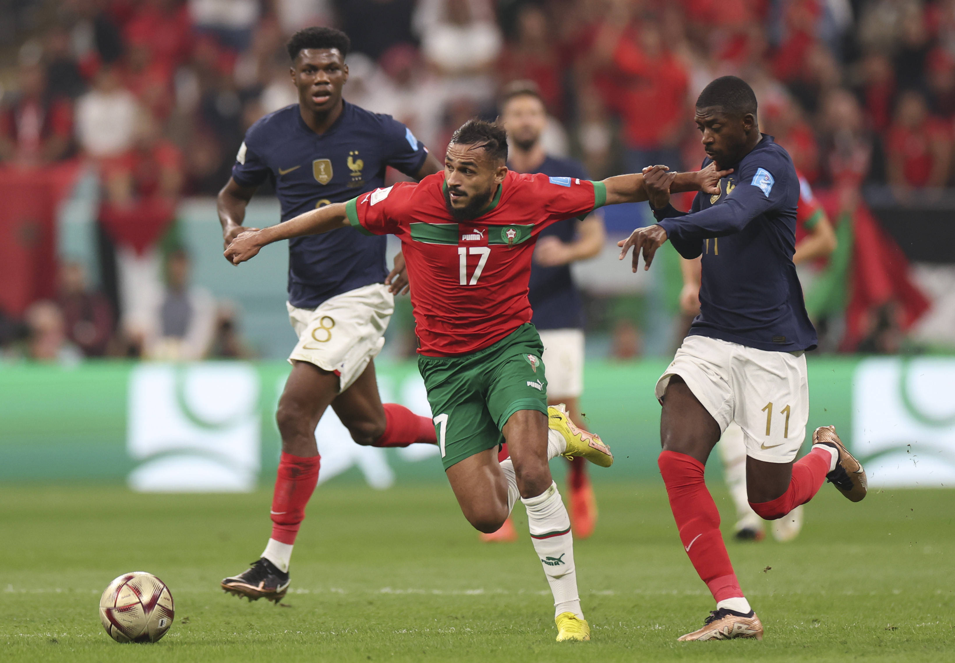 杯女篮开赛 杯女篮开赛